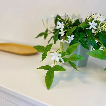 Tu Paraiso En דירה