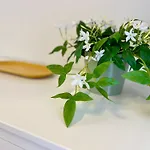 Tu Paraiso En Apartament